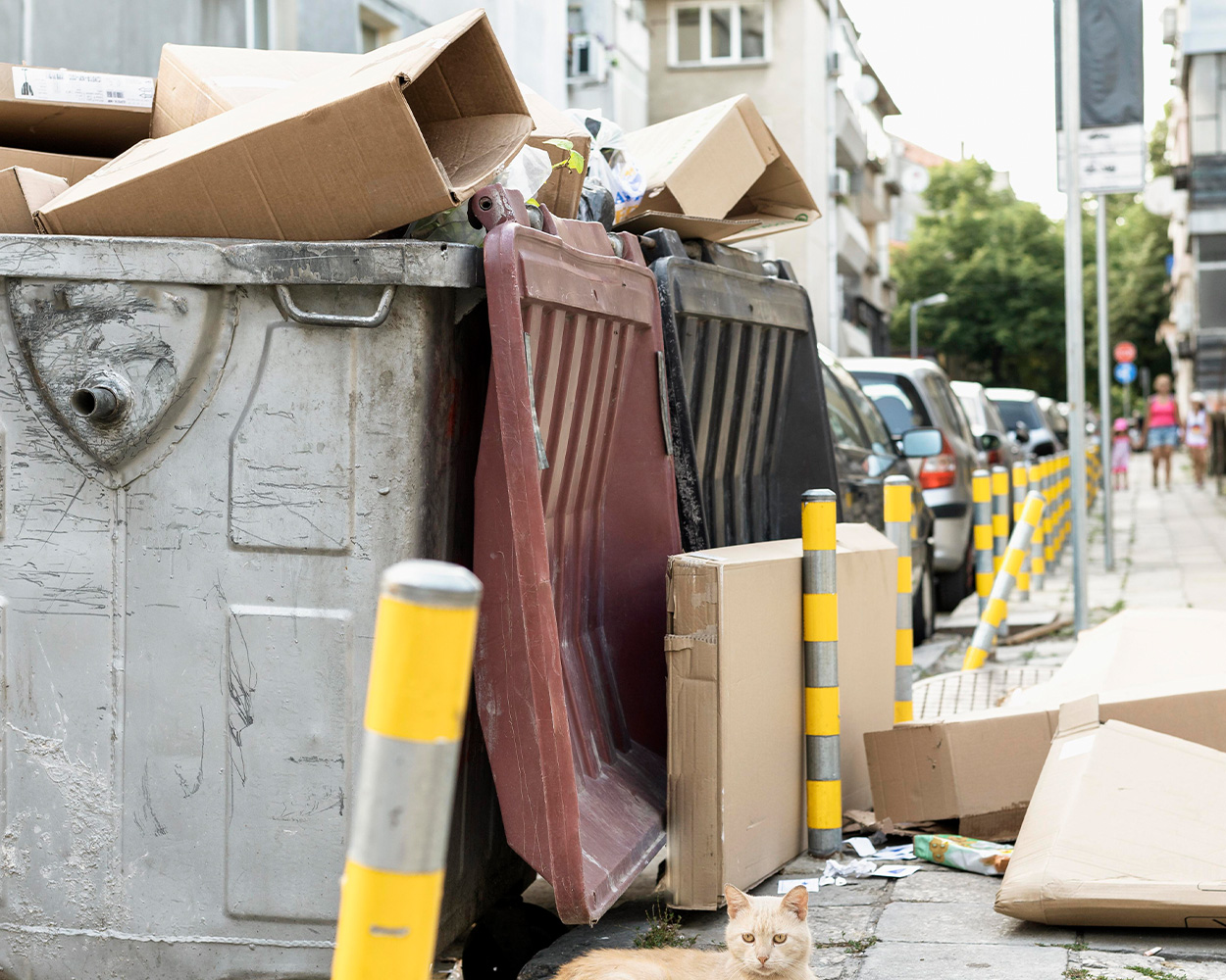 collecte dechets prives nimes