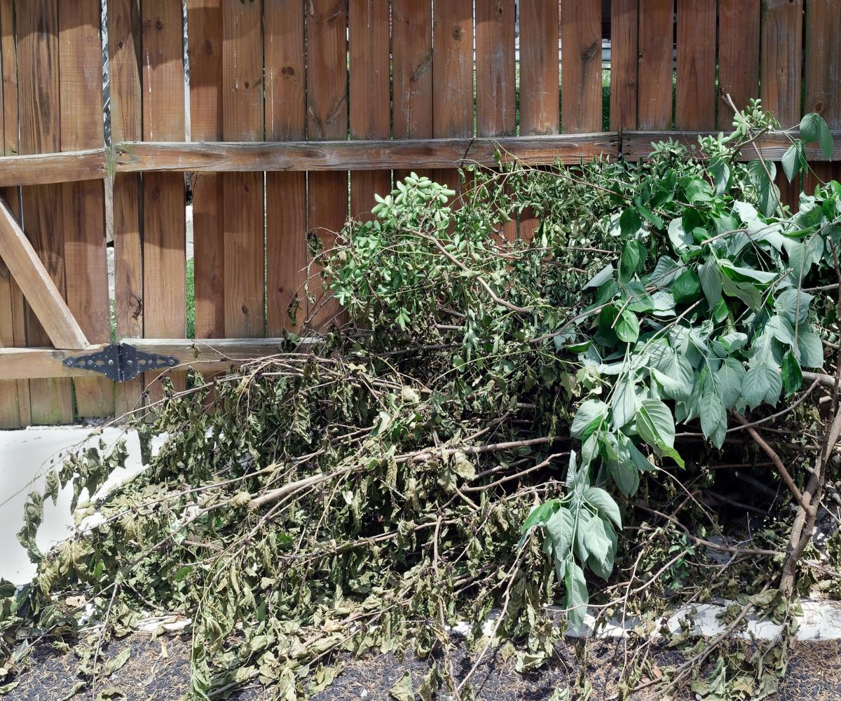 location benne dechets verts marseille